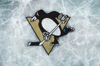 Sports - Nhl - Pittsburgh Penguins papel de parede para celular 
