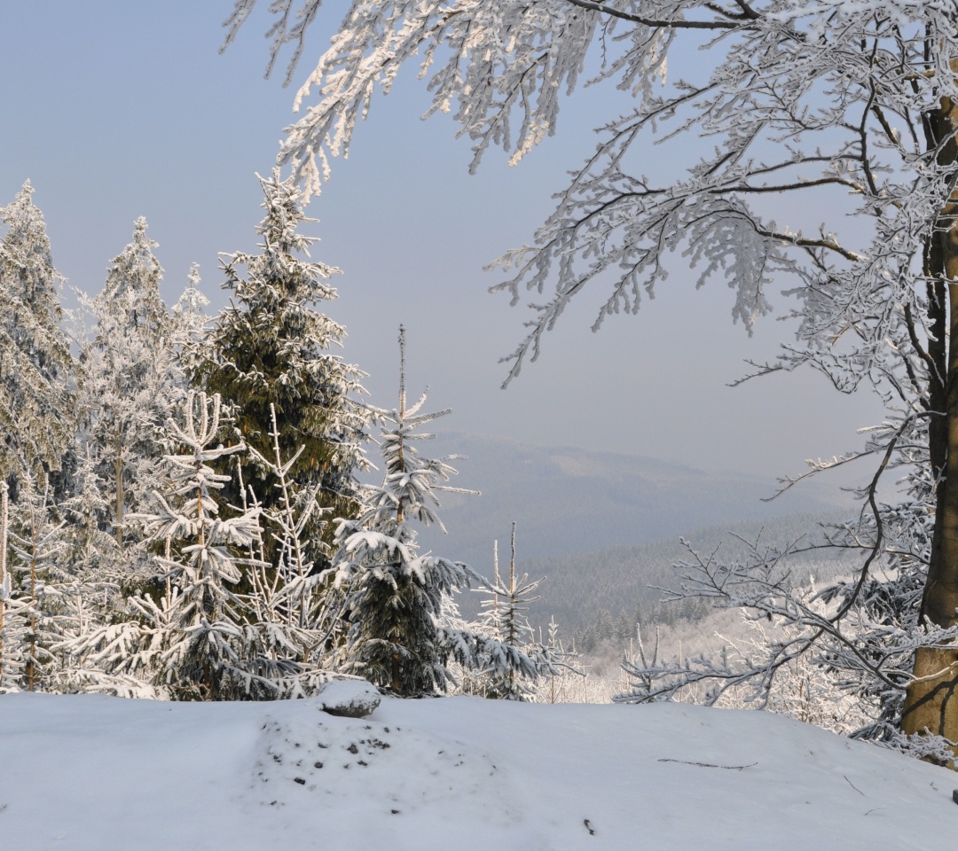 Das Snow landscape Wallpaper 1080x960