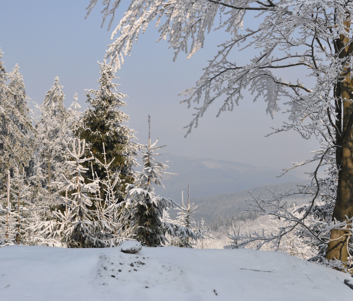 Sfondi Snow landscape 1200x1024