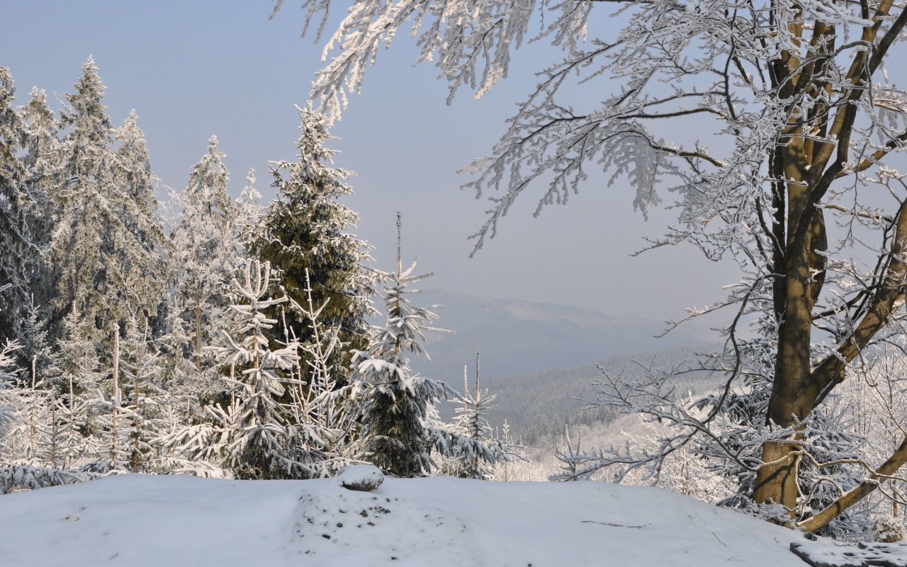 Snow landscape screenshot #1 1280x800