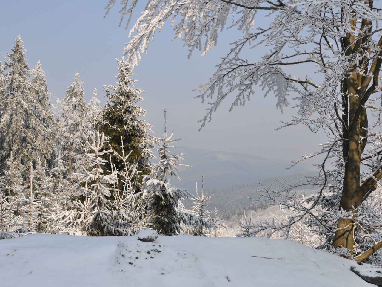 Snow landscape screenshot #1 1280x960