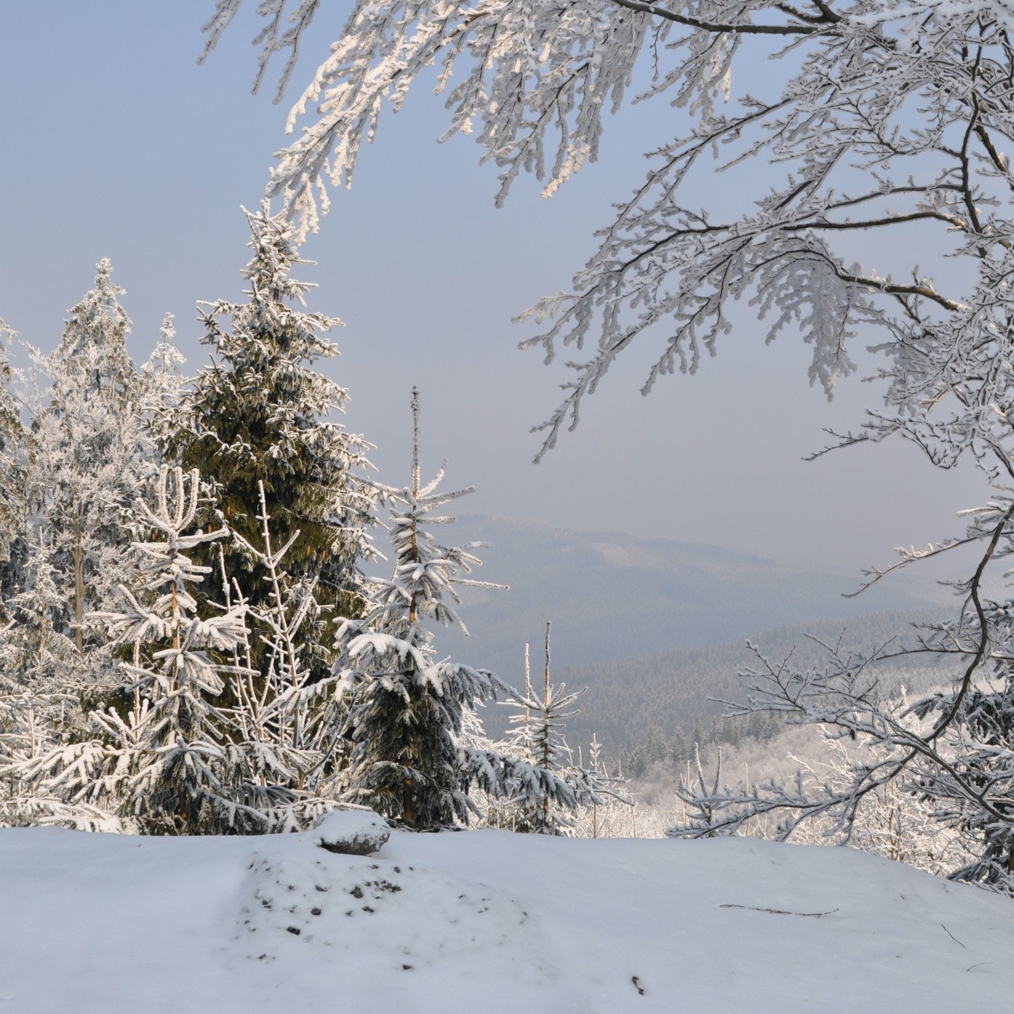 Snow landscape wallpaper 2048x2048