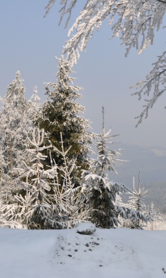 Snow landscape screenshot #1 240x400