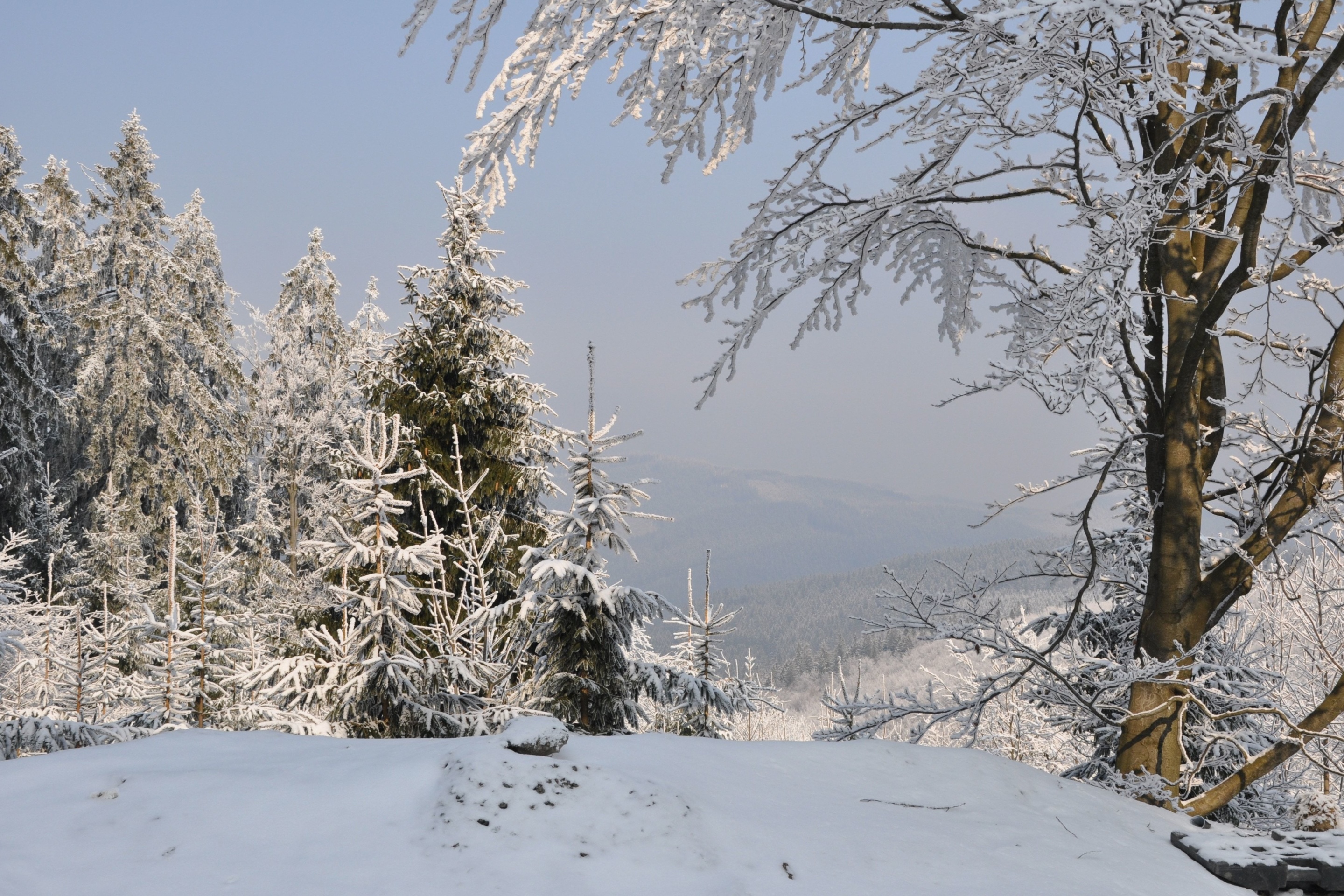 Snow landscape wallpaper 2880x1920