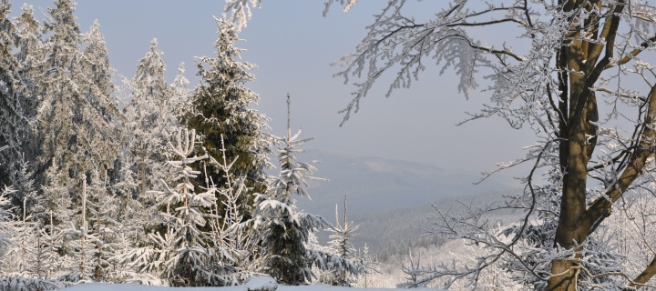 Snow landscape wallpaper 720x320