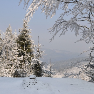 Snow landscape sfondi gratuiti per iPad