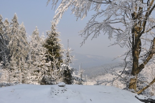 Snow landscape - Obrázkek zdarma 