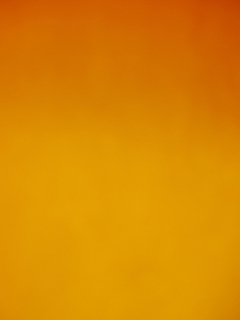 Screenshot №1 pro téma Orange Background 240x320