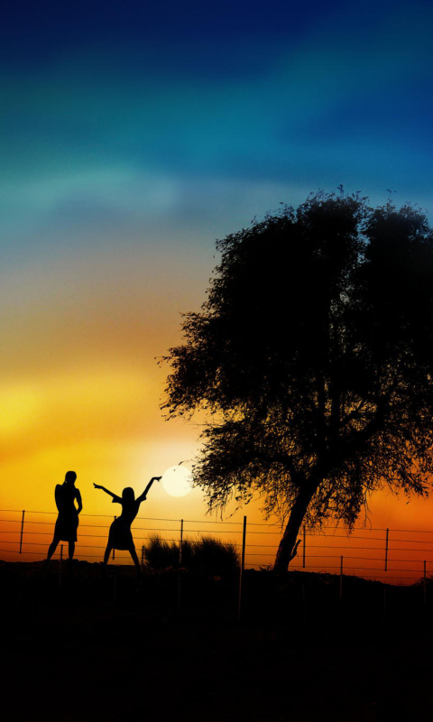 Couple Silhouettes Under Tree At Sunset screenshot #1 480x800