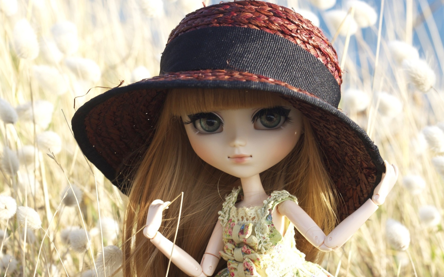 Обои Pretty Doll In Hat 1680x1050