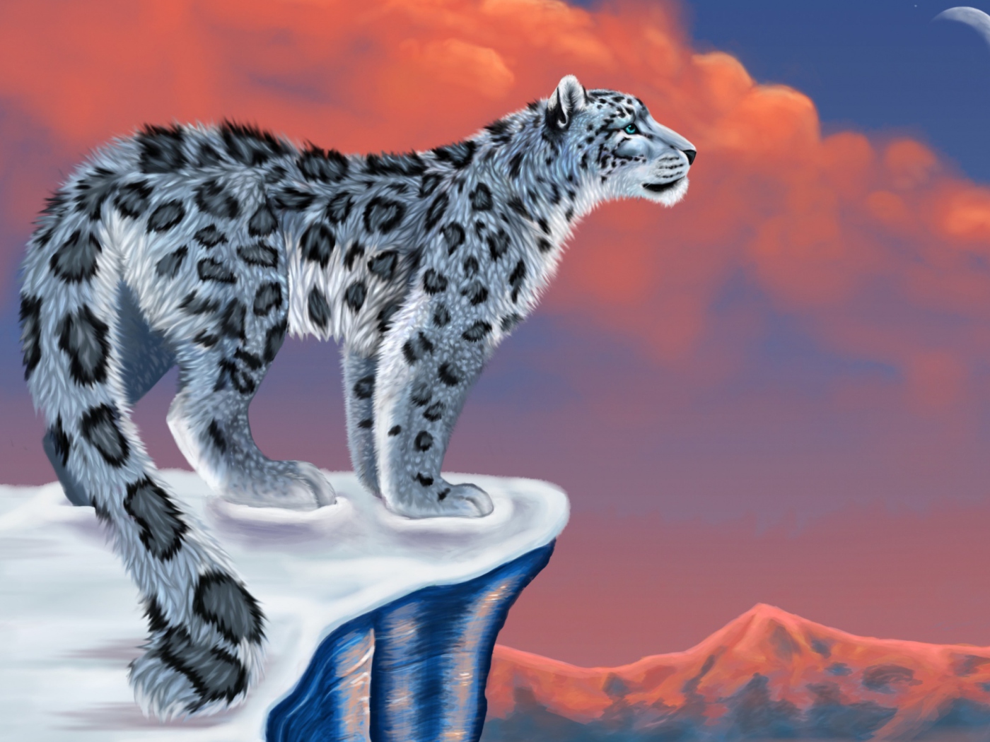 Das Snow Leopard Drawing Wallpaper 1400x1050