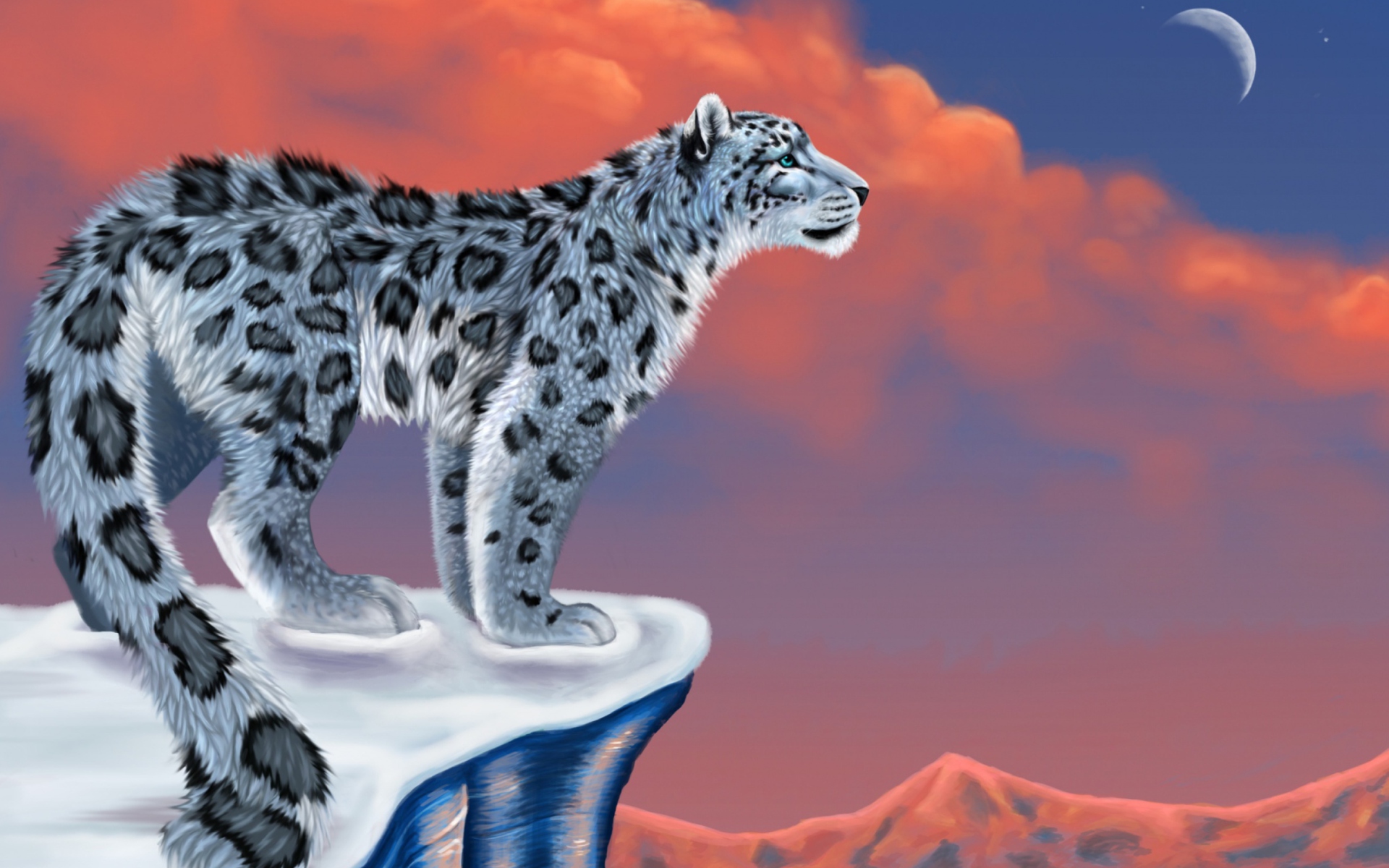 Screenshot №1 pro téma Snow Leopard Drawing 1920x1200