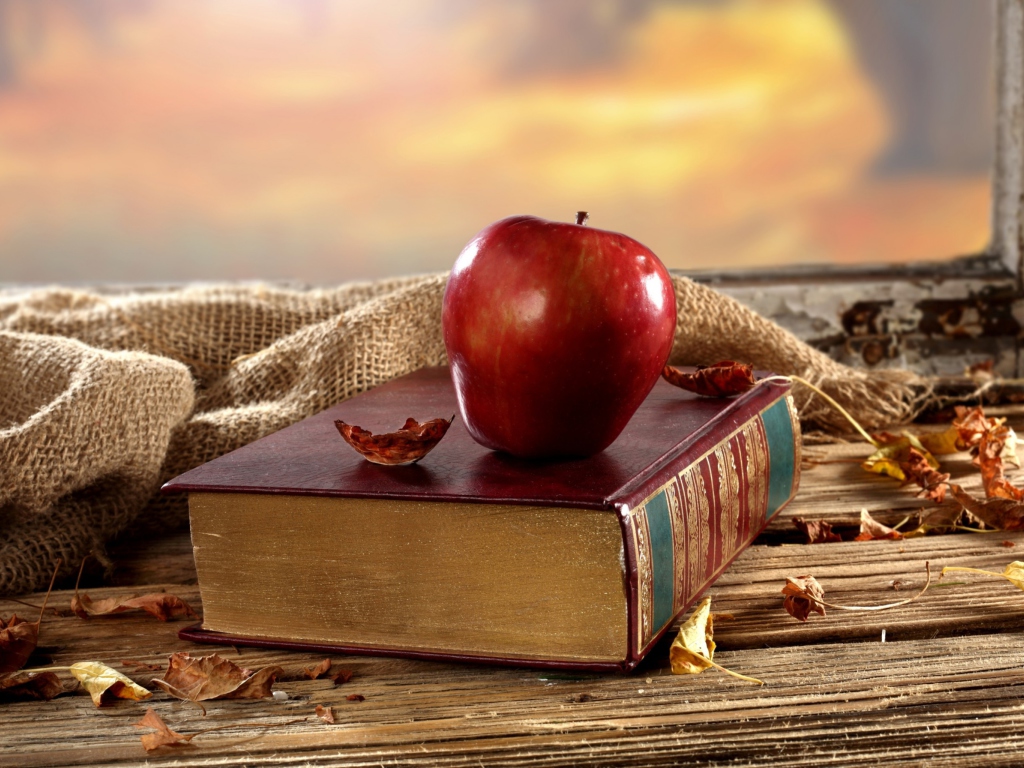 Das Apple And Book Wallpaper 1024x768