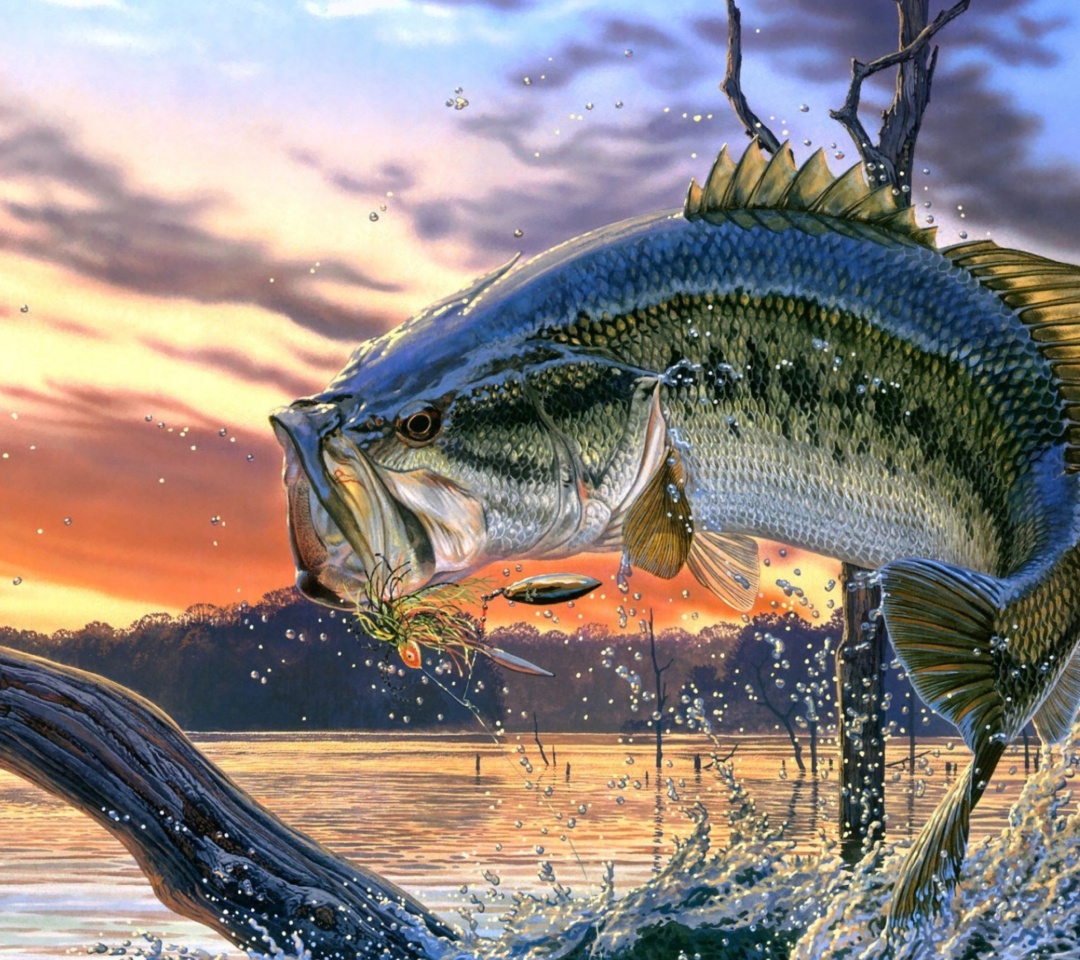 Das Percidae Fish Wallpaper 1080x960
