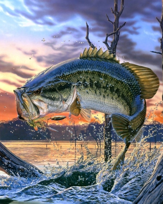Percidae Fish - Obrázkek zdarma pro 640x960