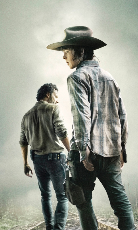 Das The Walking Dead 2014 Wallpaper 480x800