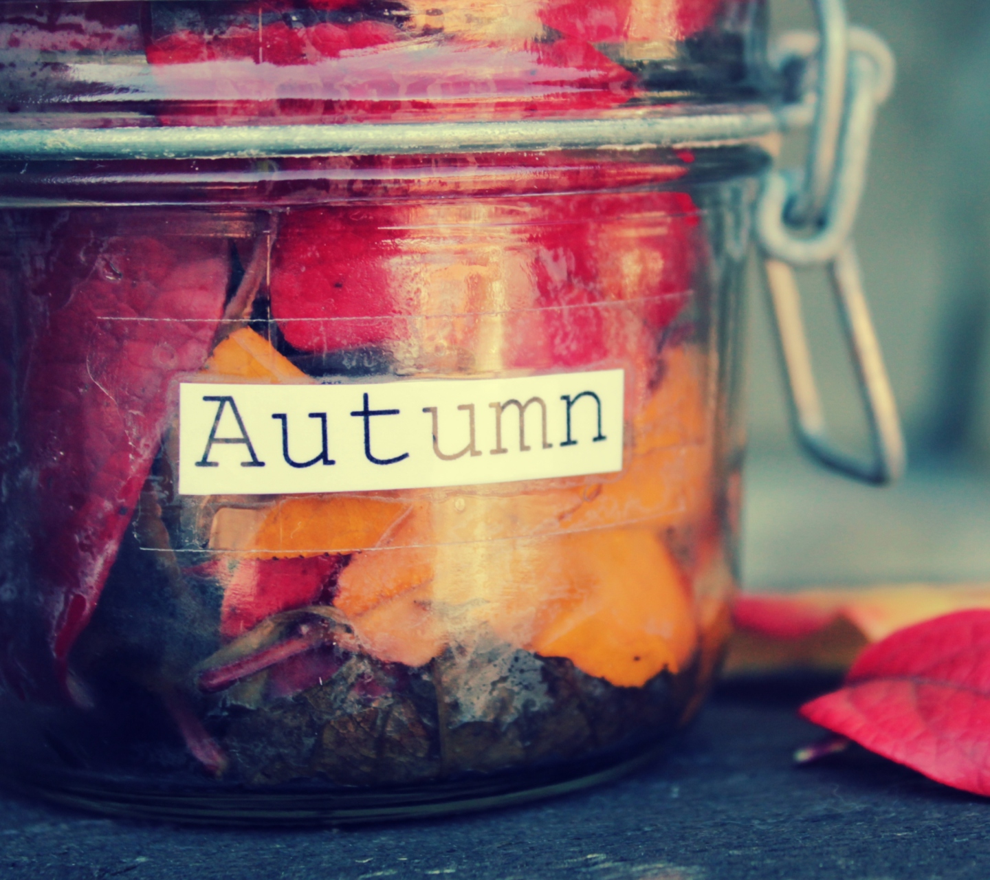 Das Autumn In Jar Wallpaper 1440x1280