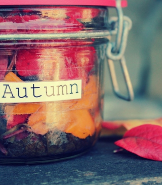 Autumn In Jar - Obrázkek zdarma pro iPhone 4