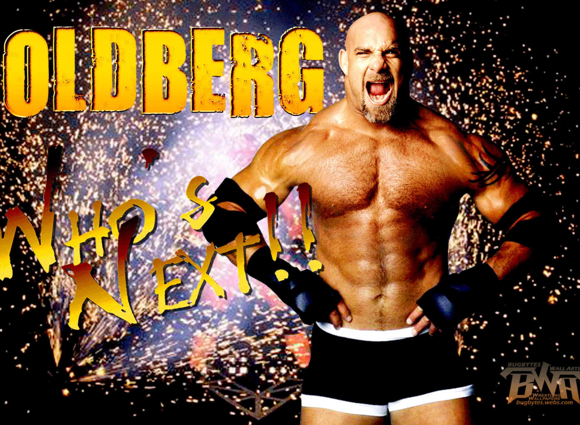 Das Bill Goldberg Wallpaper 1920x1408