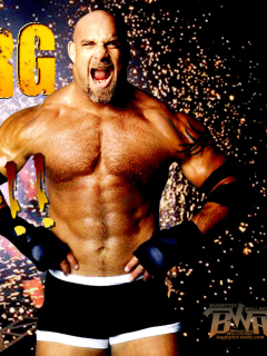 Screenshot №1 pro téma Bill Goldberg 240x320