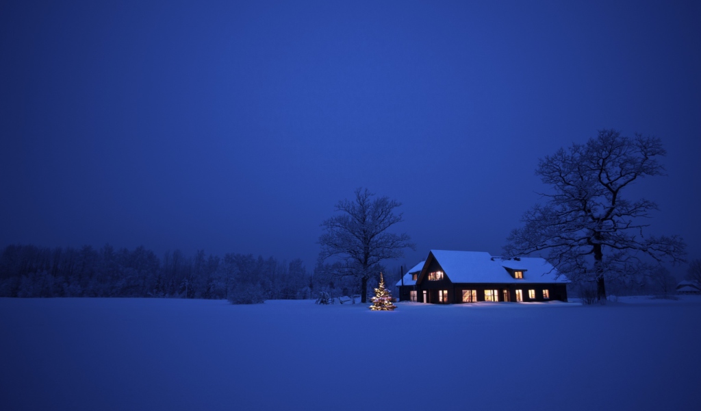 Fondo de pantalla Lonely House, Winter Landscape And Christmas Tree 1024x600