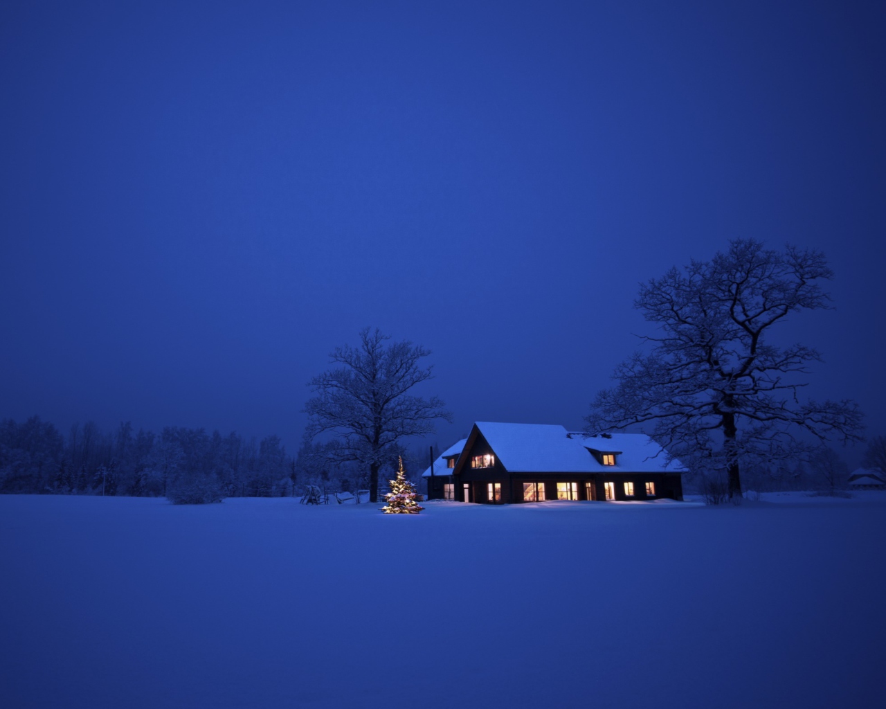 Screenshot №1 pro téma Lonely House, Winter Landscape And Christmas Tree 1280x1024