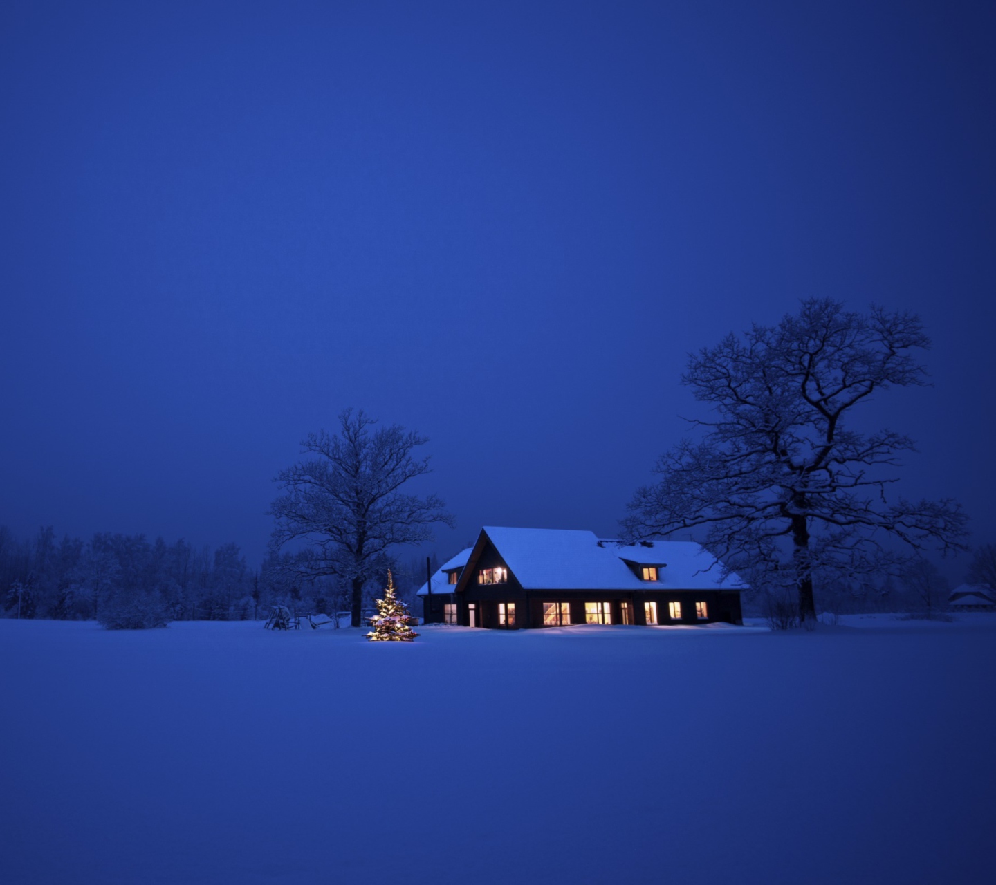 Das Lonely House, Winter Landscape And Christmas Tree Wallpaper 1440x1280