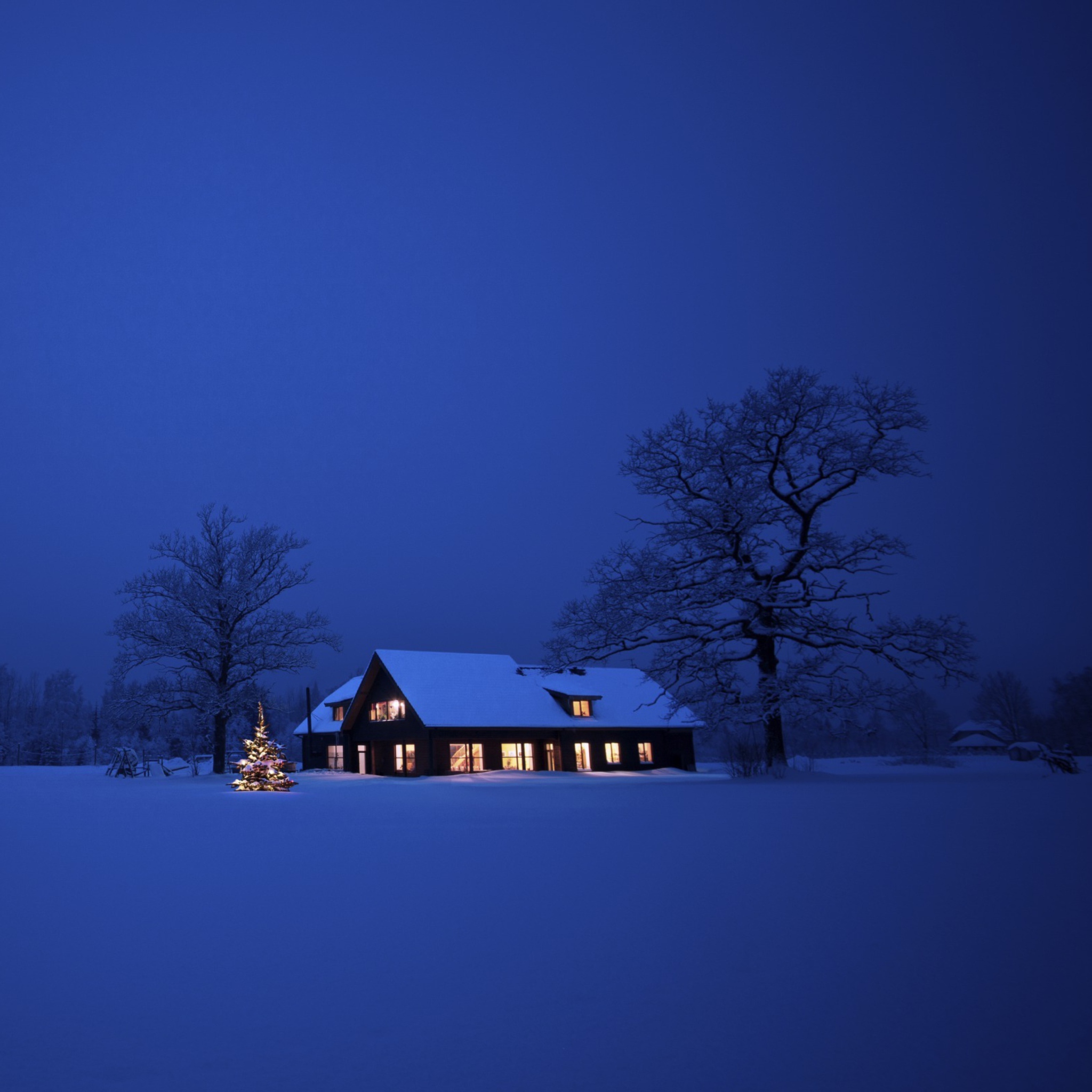 Lonely House, Winter Landscape And Christmas Tree wallpaper 2048x2048