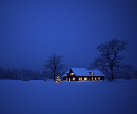 Screenshot №1 pro téma Lonely House, Winter Landscape And Christmas Tree 480x400
