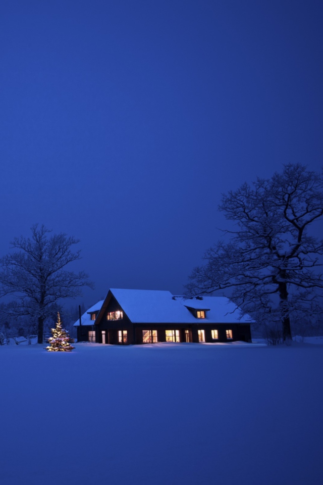 Lonely House, Winter Landscape And Christmas Tree screenshot #1 640x960