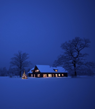 Lonely House, Winter Landscape And Christmas Tree - Fondos de pantalla gratis para Nokia 5233