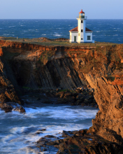 Screenshot №1 pro téma Cape Arago Lighthouse 176x220