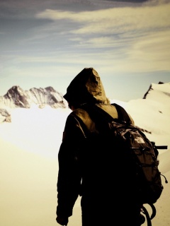 Traveler on the mountain top, Freedom wallpaper 240x320