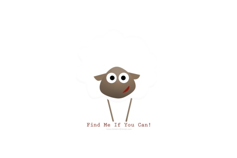 Das Find Me If You Can Wallpaper 480x320