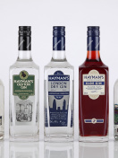 Haymans London Dry Gin wallpaper 132x176