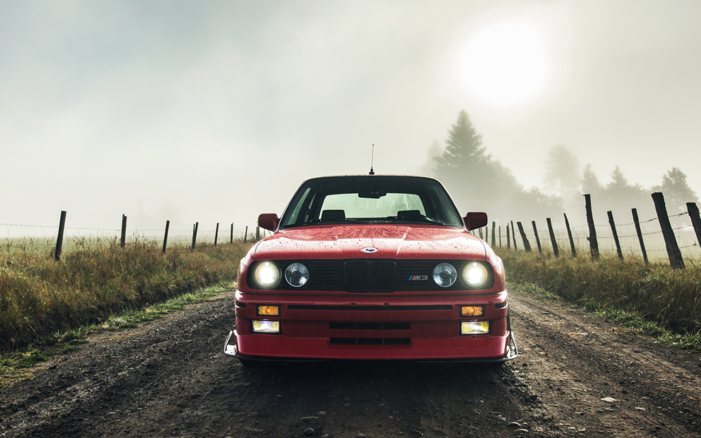 BMW M3 in Grassland screenshot #1 1440x900