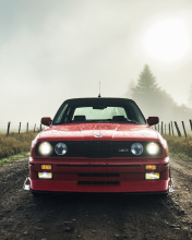 BMW M3 in Grassland screenshot #1 176x220