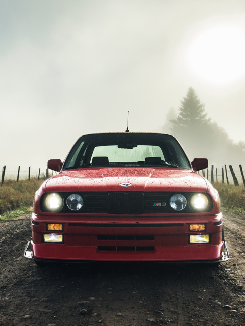 BMW M3 in Grassland screenshot #1 480x640