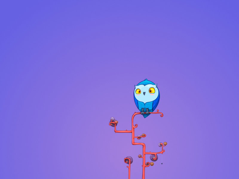 Cute Blue Owl wallpaper 800x600