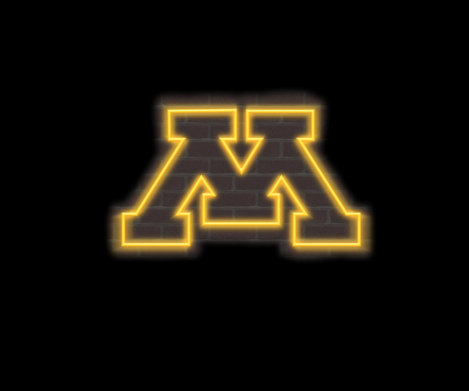 Fondo de pantalla Minnesota Golden Gophers 960x800