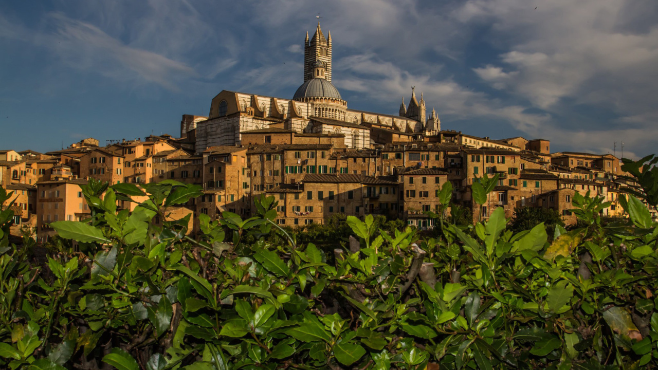 Das Cathedral of Siena Wallpaper 1280x720