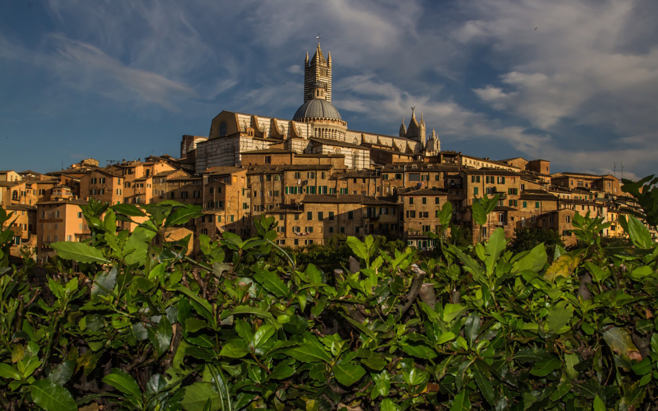 Обои Cathedral of Siena 1280x800