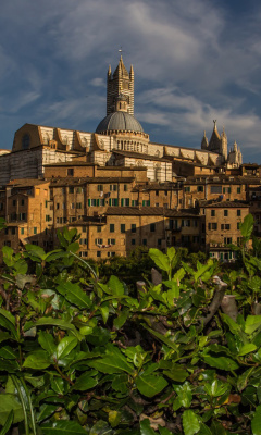 Fondo de pantalla Cathedral of Siena 240x400