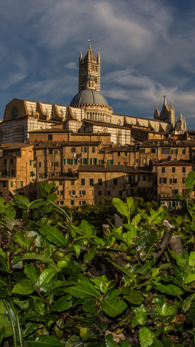 Fondo de pantalla Cathedral of Siena 640x1136