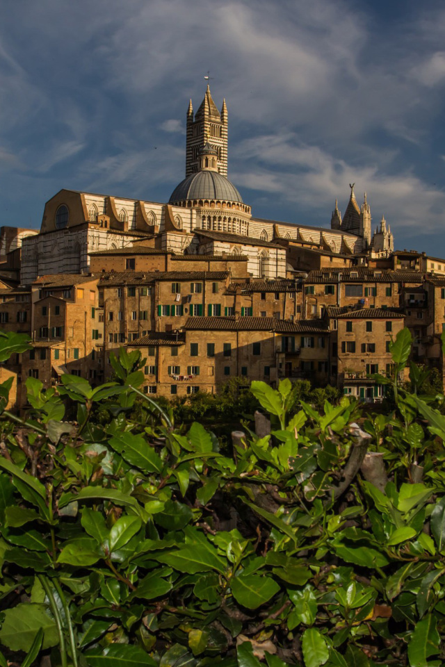 Das Cathedral of Siena Wallpaper 640x960