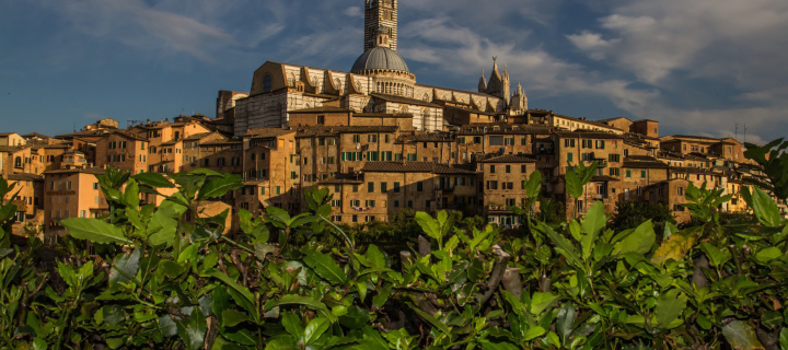 Das Cathedral of Siena Wallpaper 720x320