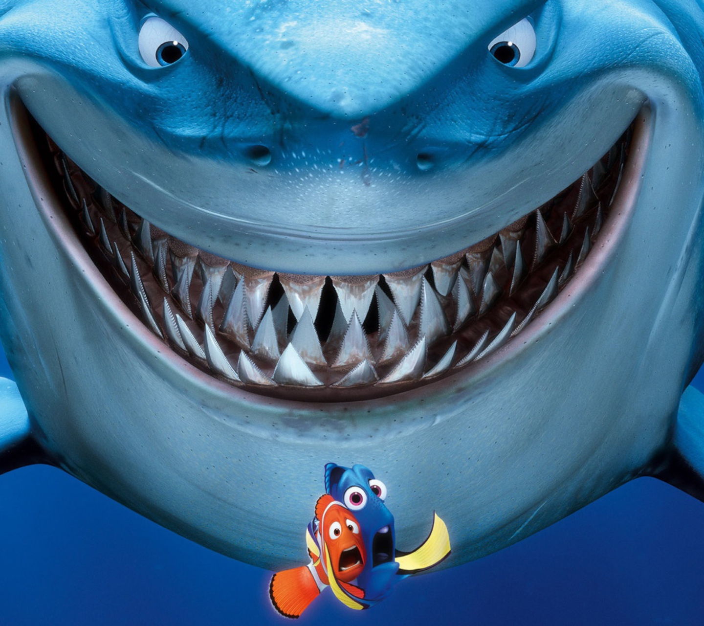Fondo de pantalla Finding Nemo 1440x1280