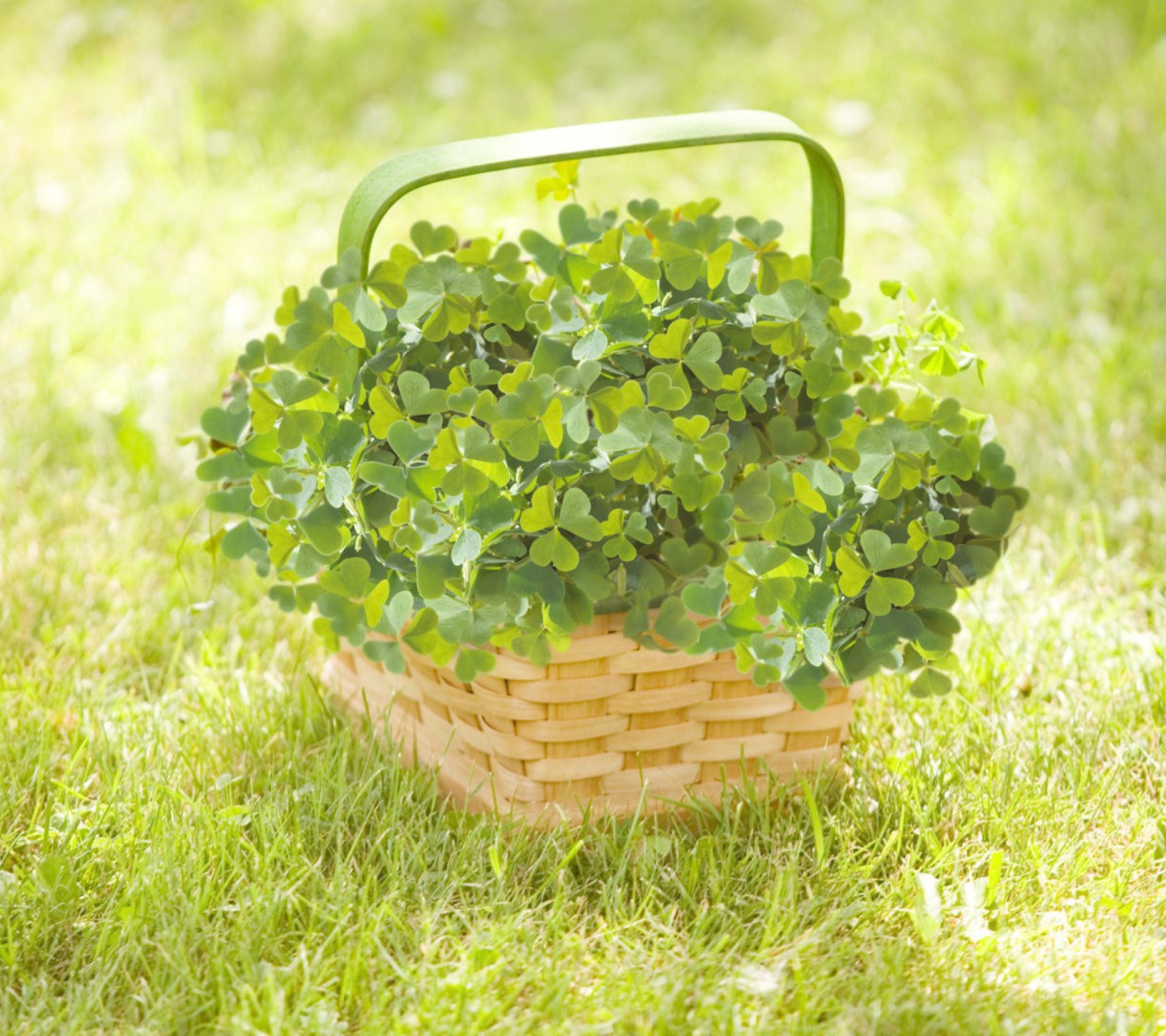 Clover Basket screenshot #1 1440x1280