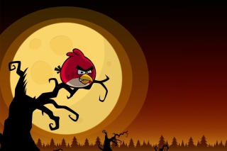 Angry Birds Seasons Halloween - Obrázkek zdarma pro Samsung Galaxy Q