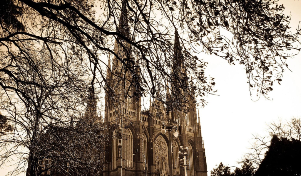 Screenshot №1 pro téma Buenos Aires Plata Cathedral 1024x600